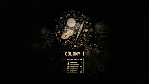 aDiatomea Colony I
