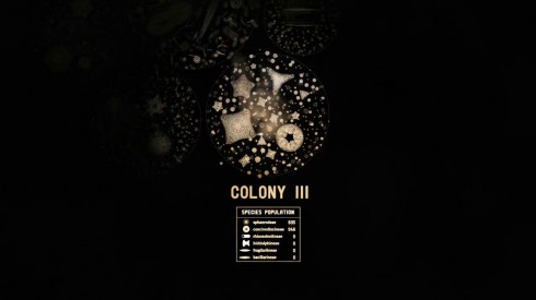 aDiatomea Colony III
