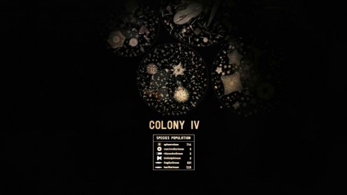 aDiatomea Colony IV