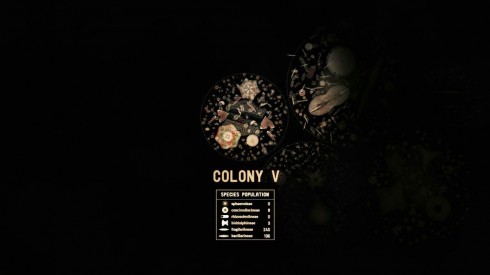aDiatomea Colony V